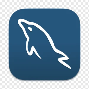 MySQL, Workbench, macOS, BigSur, icon, png PNG tags PNG image