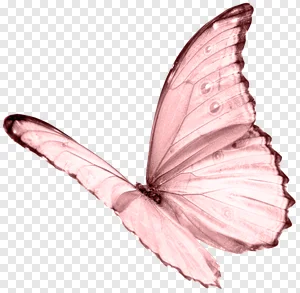 Free Pink Butterfly PNG Transparent Background Download | Elegant Flying Insect Clipart for Graphic Design, Crafts & Decor preview