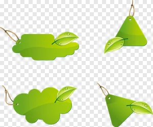 Eco-Friendly Green Labels & Tags PNG Collection with Fresh Dewdrop Leaves - Free Organic Design Elements Download PNG image