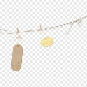 Free PNG Download: Rustic Blank Tags & Labels on Twine with Clothespins | Customizable Notes & Craft Elements PNG image
