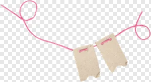 Pink String & Kraft Paper Tags PNG – Free Download Rustic Gift Labels, Blank Price Tags with Vibrant Cord PNG image