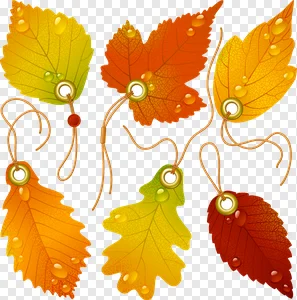 Vibrant Autumn Leaves Tags PNG Collection with Water Droplets & Golden Grommets - Free Download PNG image