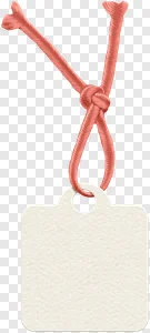 Free PNG: Blank Textured Paper Tag with Coral String & Knot – Versatile Gift Label & Price Tag Element PNG image