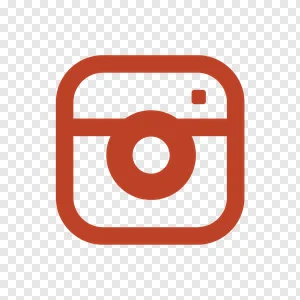 Minimalist Burnt Orange Instagram Logo Icon PNG Transparent Background PNG image