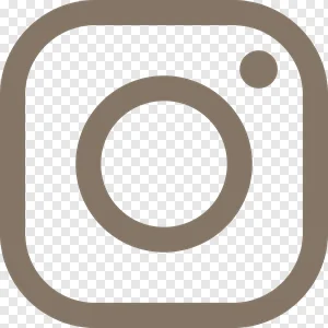 Minimalist Taupe Instagram Logo Icon PNG Transparent Background PNG image