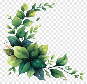 Elegant Watercolor Green Leaf Corner Frame PNG | Botanical Illustration Clipart PNG image