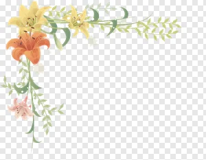 Elegant Watercolor Lily Corner Frame PNG with Vibrant Floral Accents PNG image